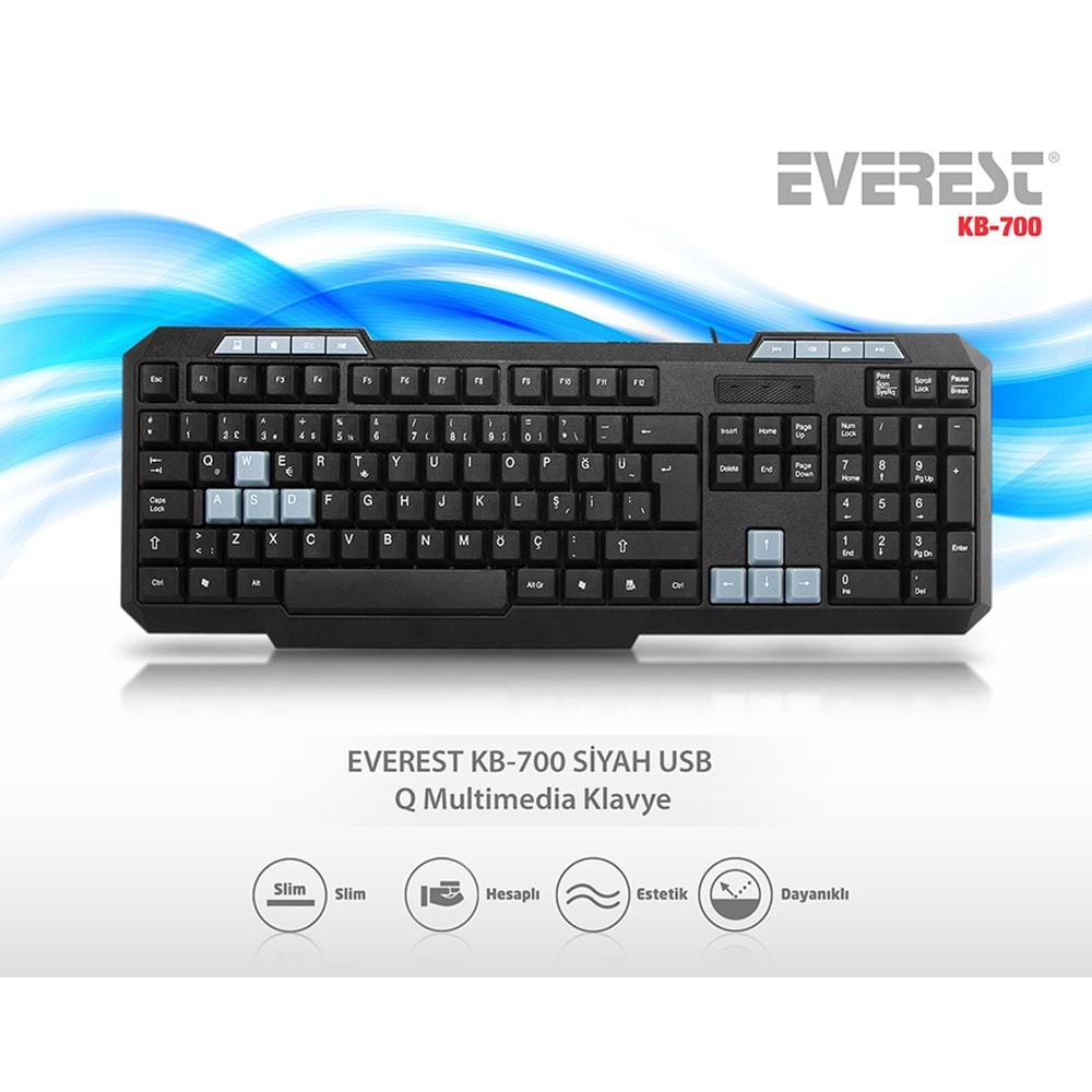 Everest KB-700 Siyah USB Q Multimedia Klavye