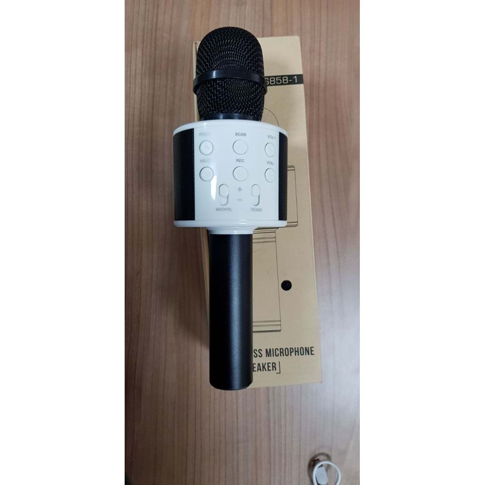 Hadron Şık Tasarımlı Karaoke Mikrofon HD559