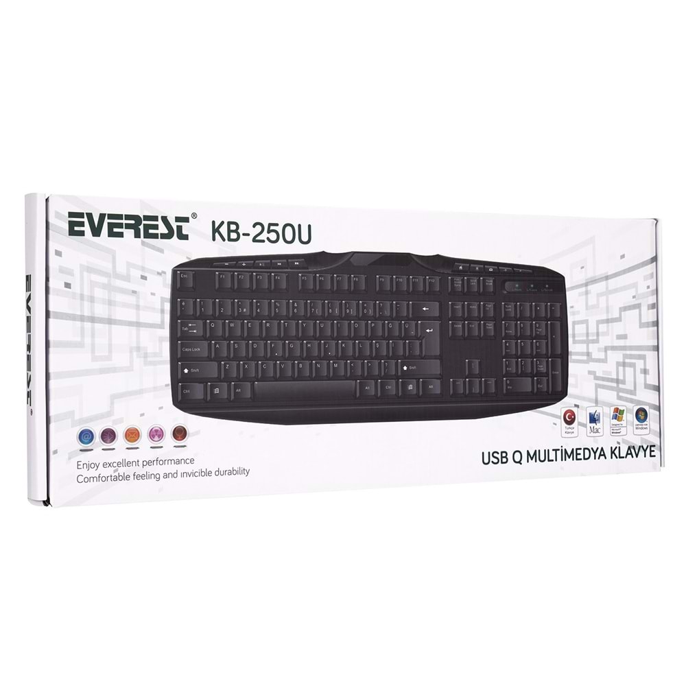 Everest KB-250U Siyah USB Q Multimedia Klavye