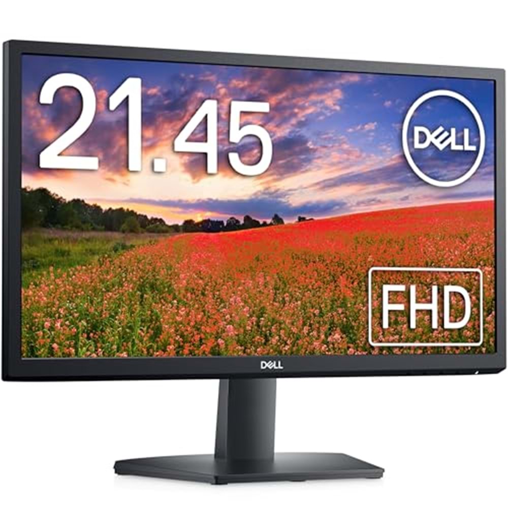 DELL 22